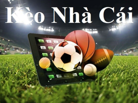 Trò Chơi Bắn Cá Arcade Fishing Game Vui Nhộn Cho Cả Gia Đình