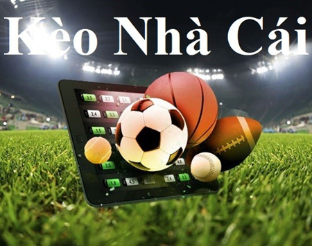 Trò Chơi Bắn Cá Arcade Fishing Game Vui Nhộn Cho Cả Gia Đình