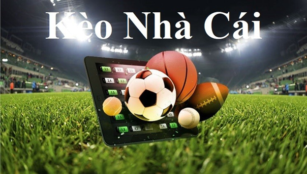 Trò Chơi Bắn Cá Arcade Fishing Game Vui Nhộn Cho Cả Gia Đình